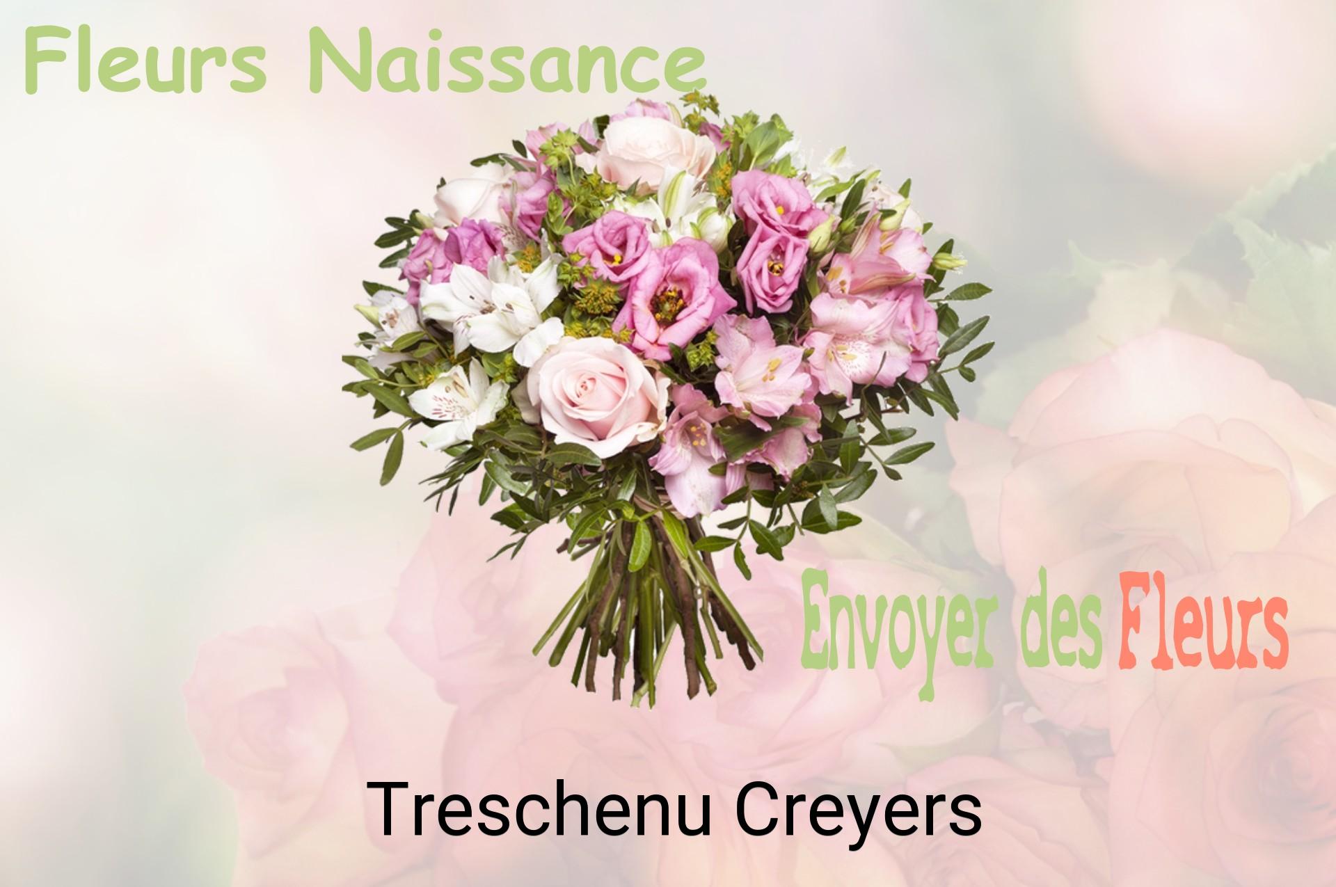 Bouquet de fleurs de naissance livré à Treschenu-Creyers